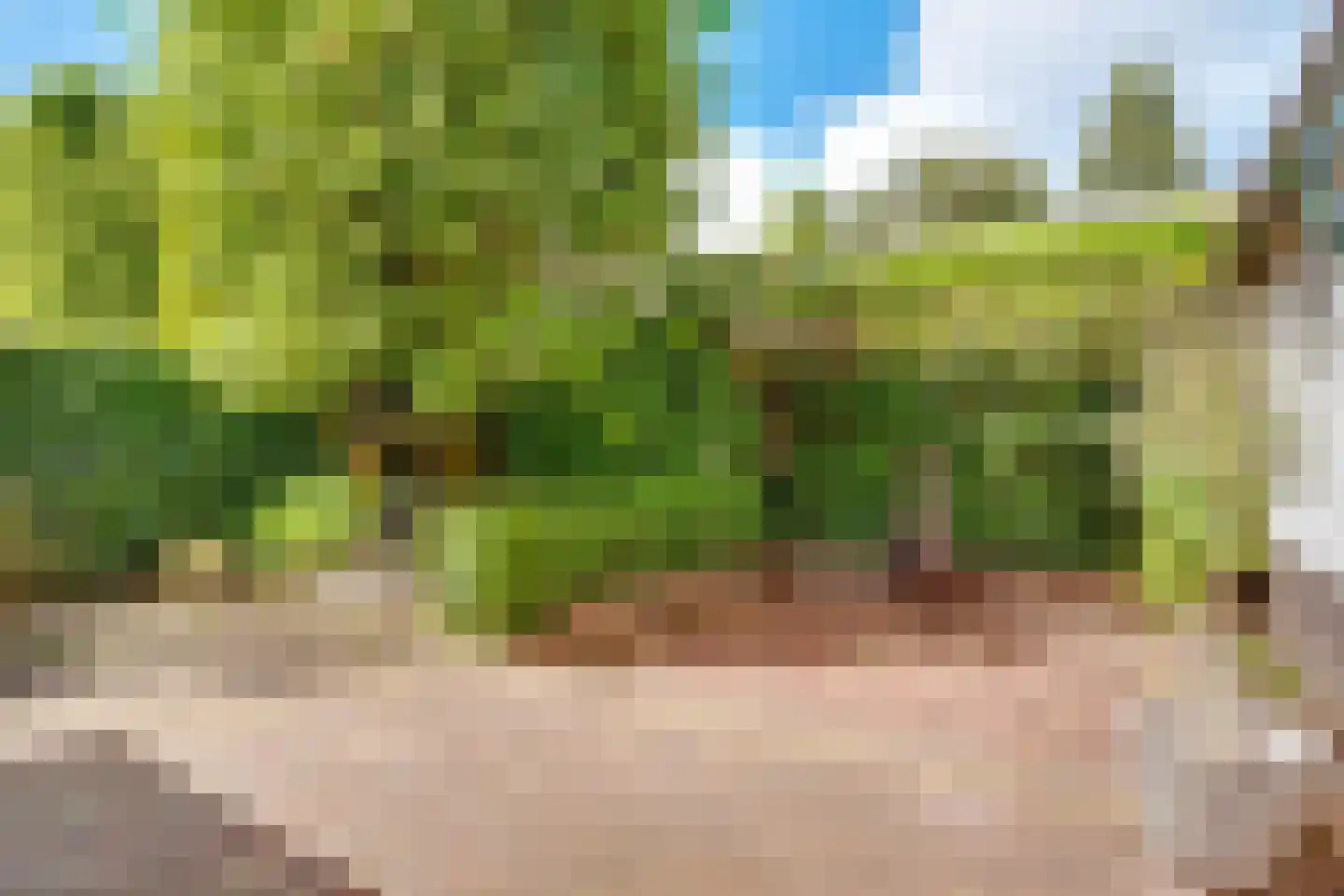 Kolhornseweg 16 Hilversum thumbnail 54