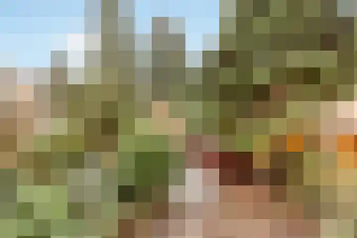 Kolhornseweg 172 Hilversum thumbnail 18