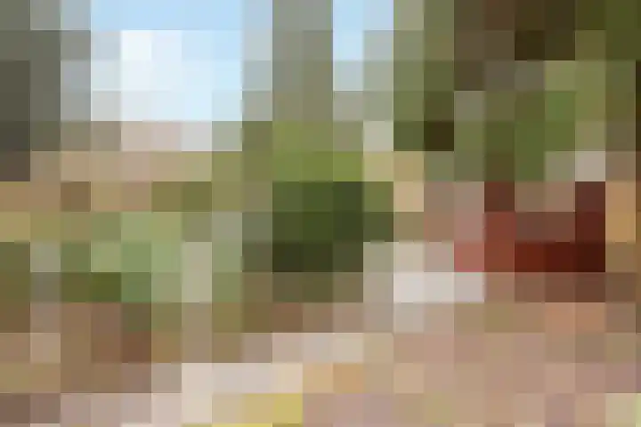 Kolhornseweg 172 Hilversum thumbnail 19