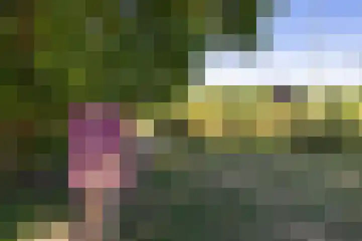 Kolhornseweg 178 Hilversum thumbnail 26