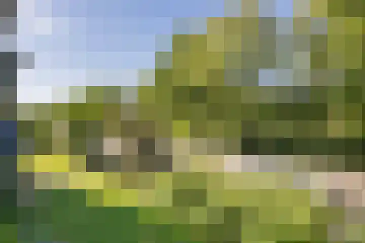 Kolhornseweg 178 Hilversum thumbnail 9