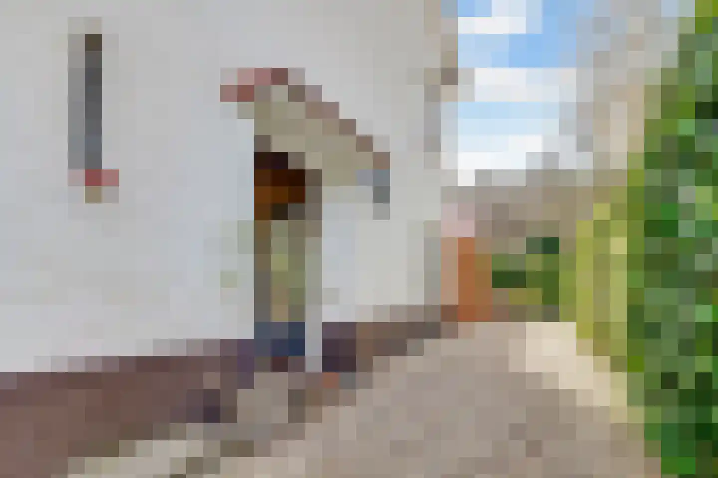 Kolhornseweg 18 Hilversum thumbnail 4