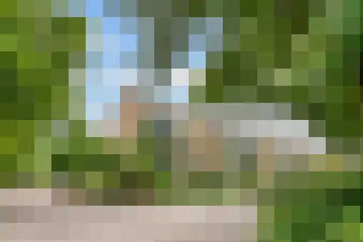 Kolhornseweg 186 Hilversum thumbnail 26
