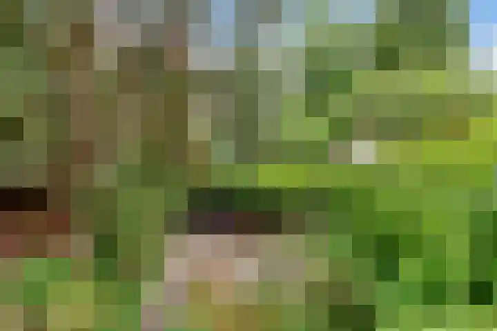 Kolhornseweg 186 Hilversum thumbnail 33