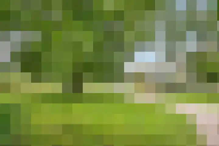 Kolhornseweg 186 Hilversum thumbnail 36