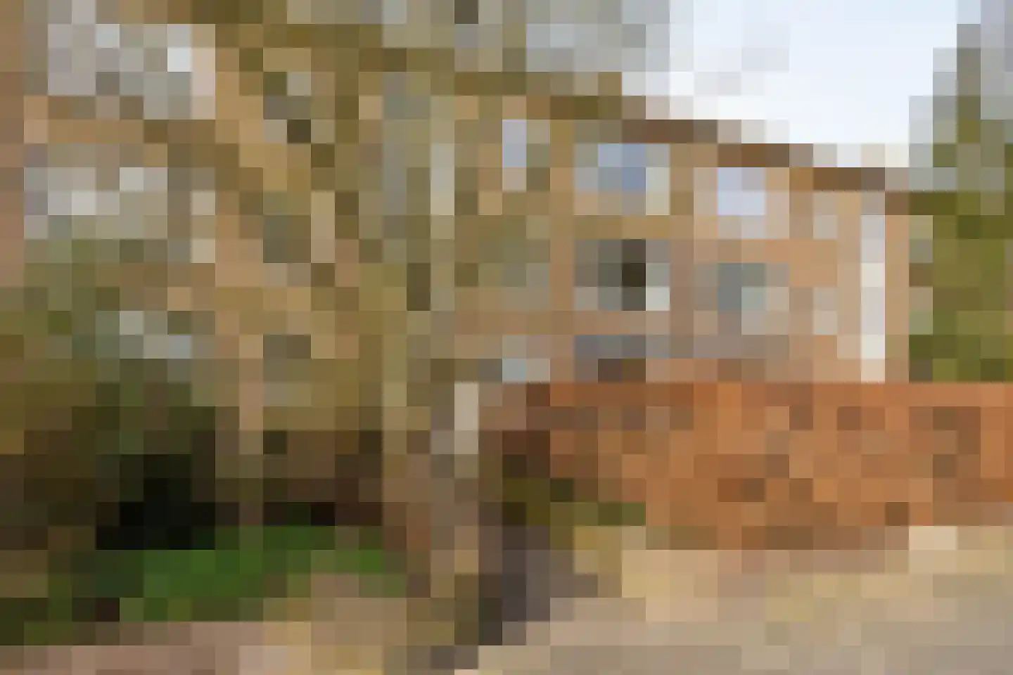 Kolhornseweg 40 Hilversum thumbnail 26