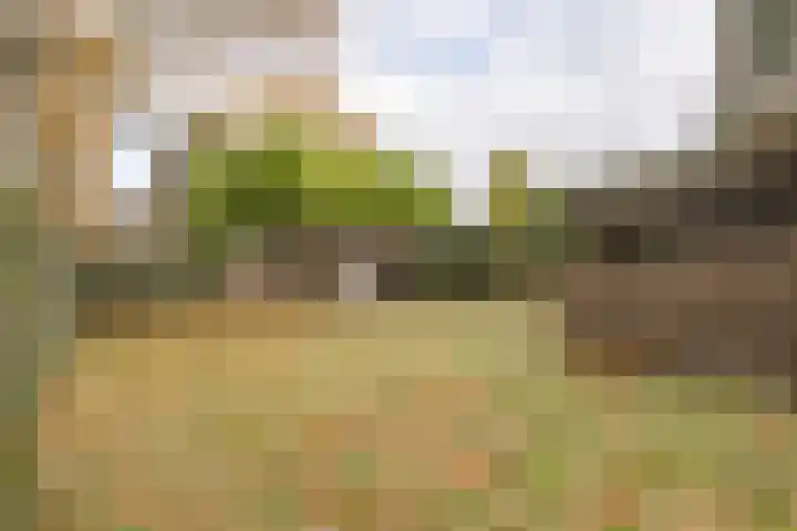 Kolhornseweg 62 Hilversum thumbnail 30