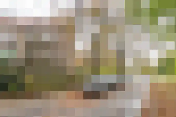 Kolhornseweg 62 Hilversum thumbnail 31