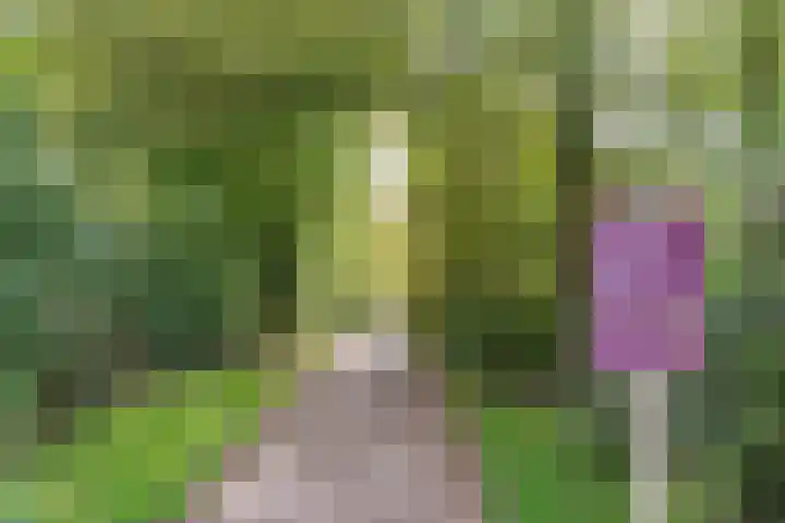 Kolhornseweg 62 Hilversum thumbnail 33