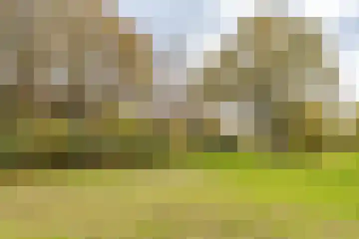 Kolhornseweg 62 Hilversum thumbnail 34
