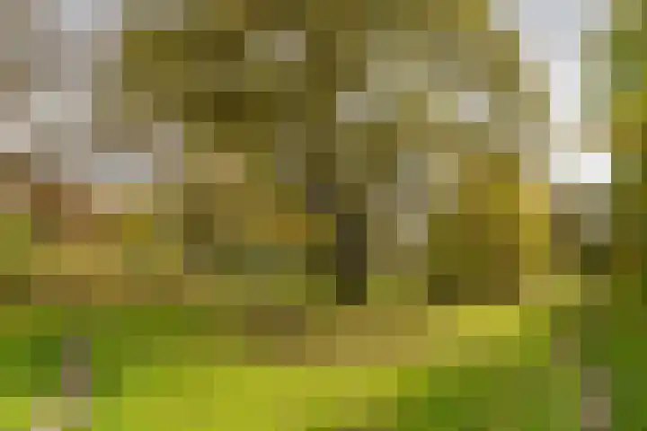 Kolhornseweg 62 Hilversum thumbnail 35