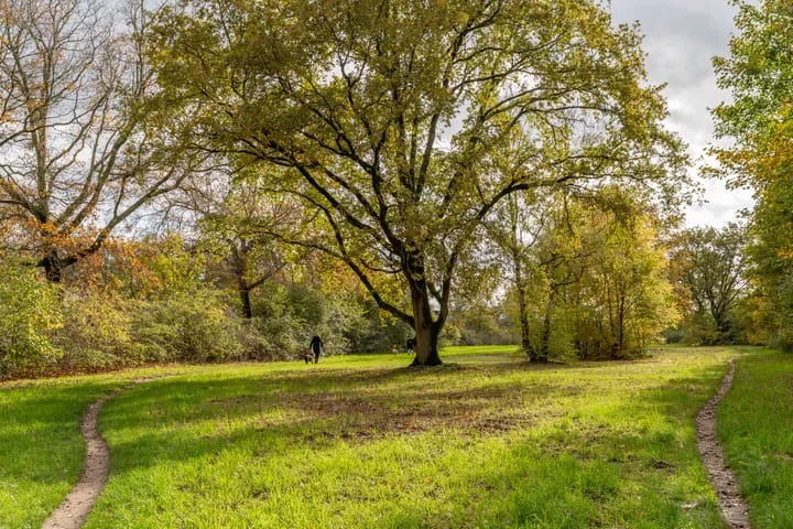 Kolhornseweg 62 Hilversum thumbnail 35
