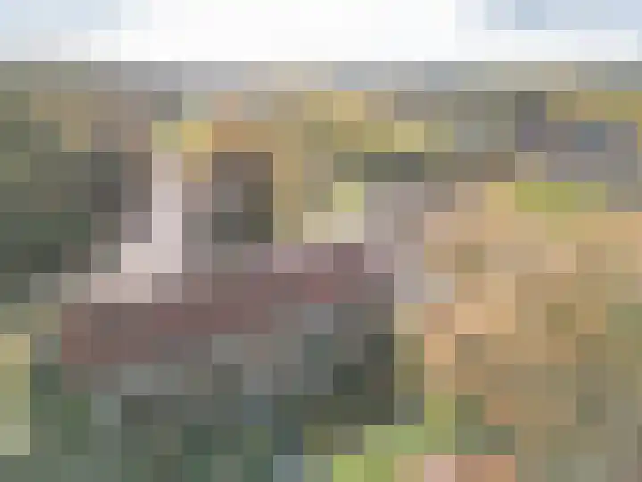 Kolhornseweg 62 Hilversum thumbnail 37