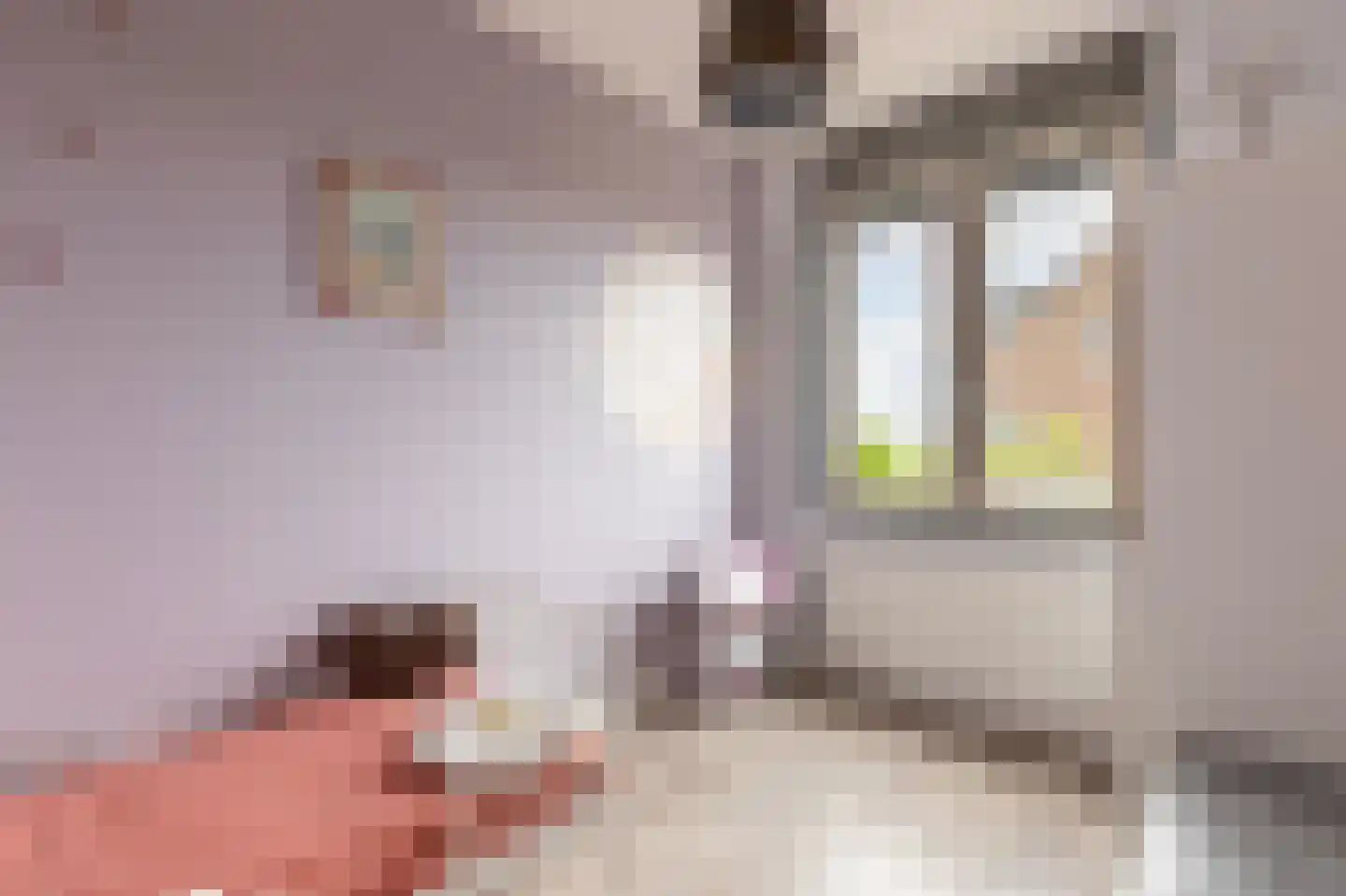 Kolibrie 34 Schoonhoven thumbnail 31