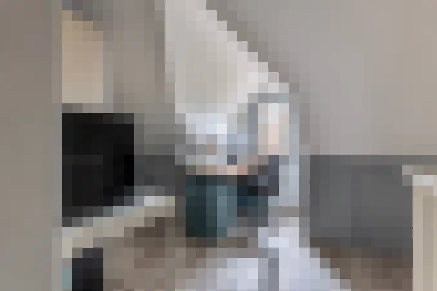 Kolibrie 34 Schoonhoven thumbnail 43