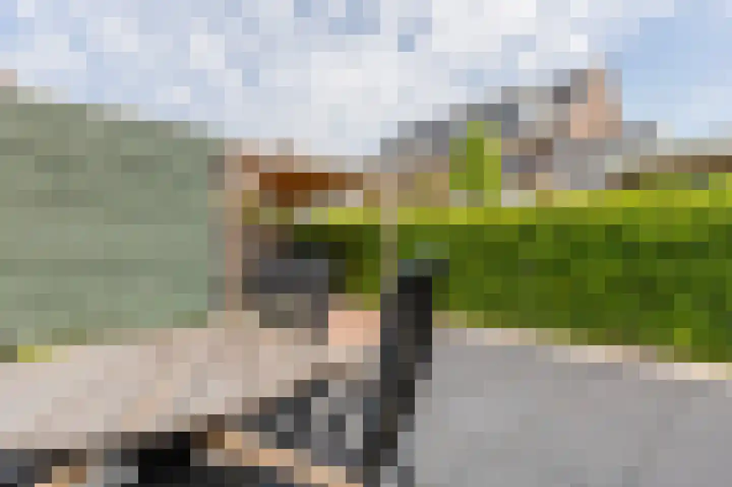 Kolibrie 34 Schoonhoven thumbnail 47