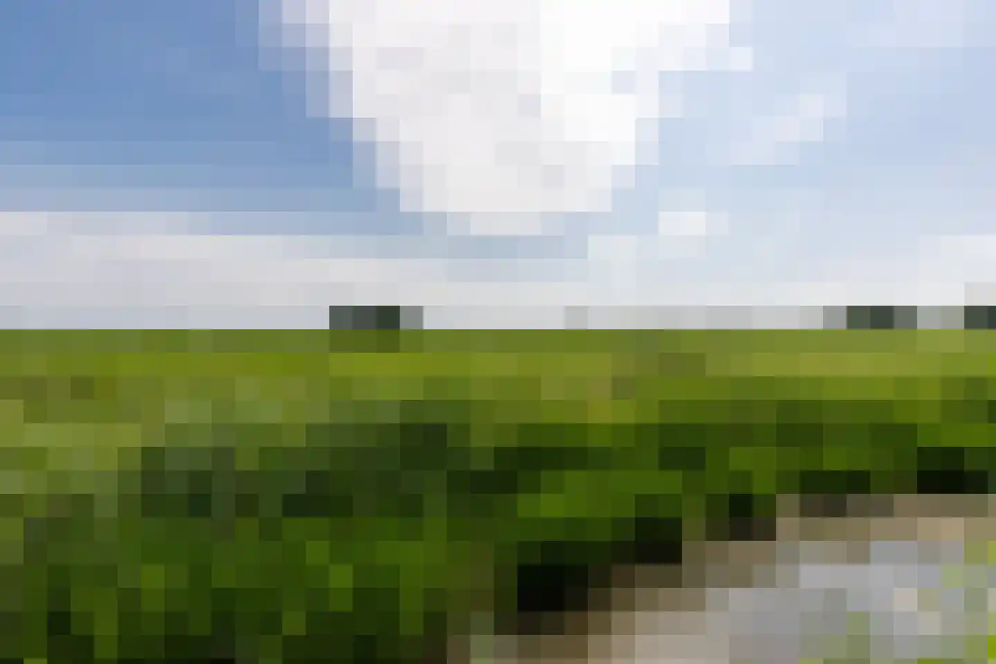 Kolibrie 34 Schoonhoven thumbnail 56