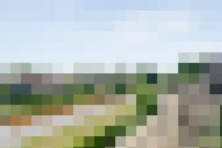 Kolibriestraat 13 Hardenberg thumbnail 34