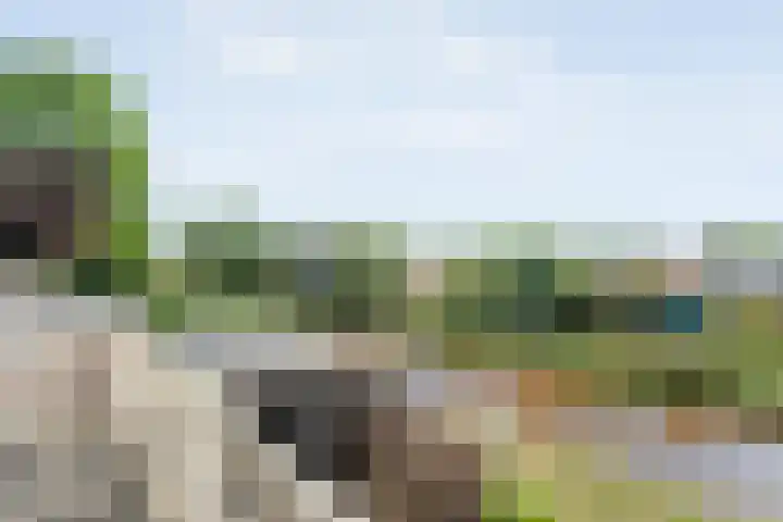 Kolibriestraat 13 Hardenberg thumbnail 35