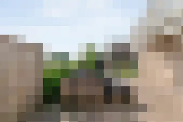 Kolibriestraat 13 Hardenberg thumbnail 38