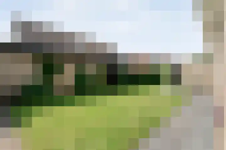 Kolibriestraat 13 Hardenberg thumbnail 40