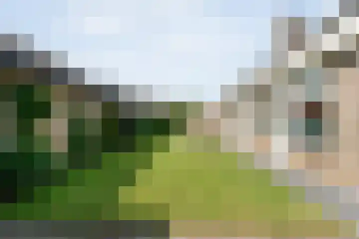 Kolibriestraat 13 Hardenberg thumbnail 41