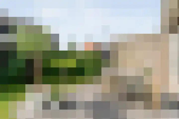 Kolibriestraat 13 Hardenberg thumbnail 42