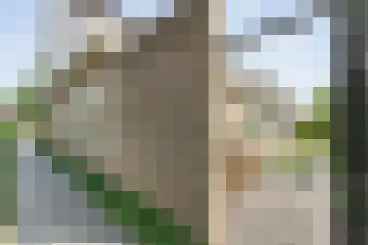 Kolibriestraat 13 Hardenberg thumbnail 44