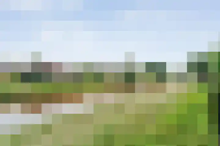 Kolibriestraat 13 Hardenberg thumbnail 45