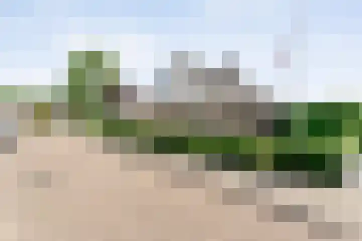Kolibriestraat 13 Hardenberg thumbnail 47