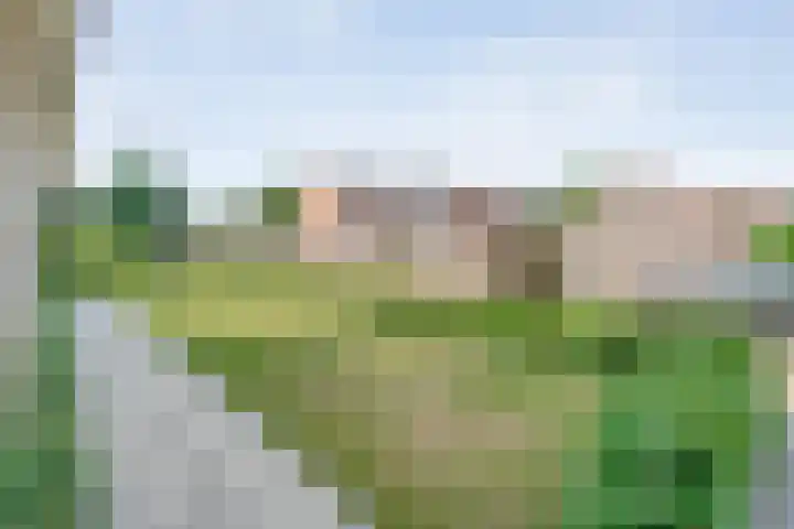 Kolibriestraat 13 Hardenberg thumbnail 49