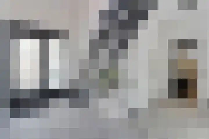 Kolibriestraat 13 Hardenberg thumbnail 5