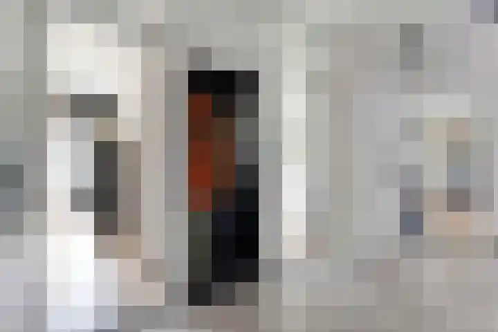 Kolibriestraat 13 Hardenberg thumbnail 6