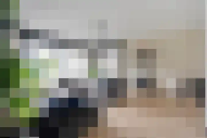 Kolibriestraat 13 Hardenberg thumbnail 7