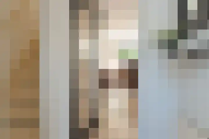 Kolibrievlinder 14 Amersfoort thumbnail 15
