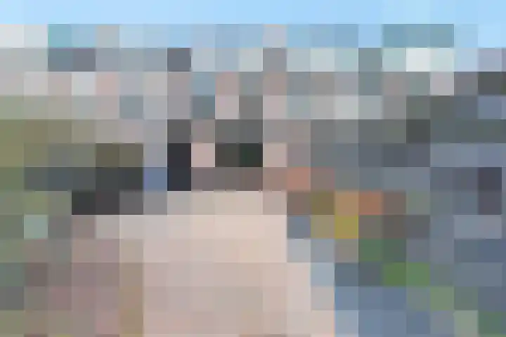 Kolibrievlinder 14 Amersfoort thumbnail 30