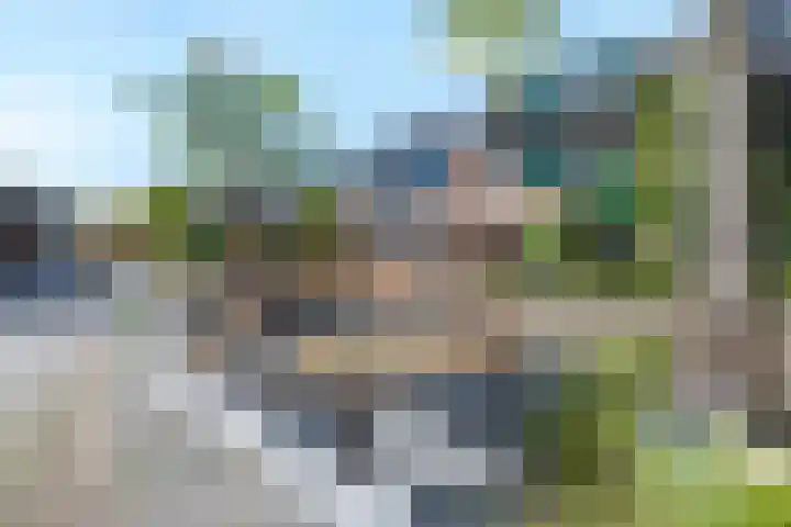 Kolibrievlinder 14 Amersfoort thumbnail 6