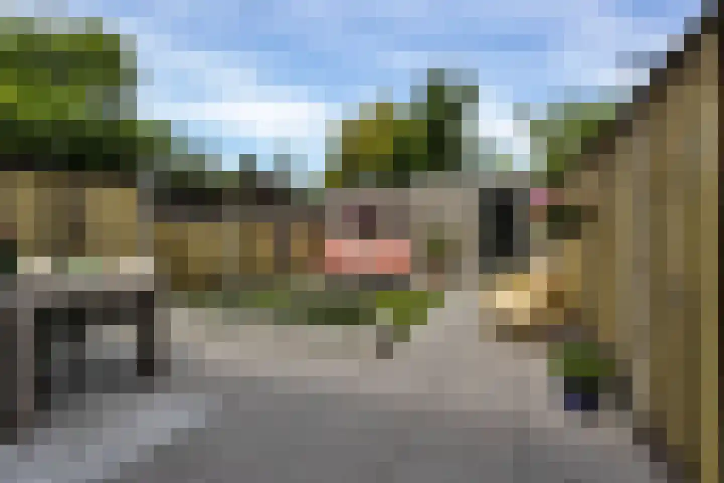 Kolibrievlinder 19 Enschede thumbnail 20