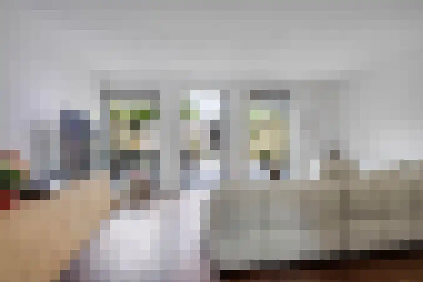 Kolibrievlinder 19 Enschede thumbnail 7