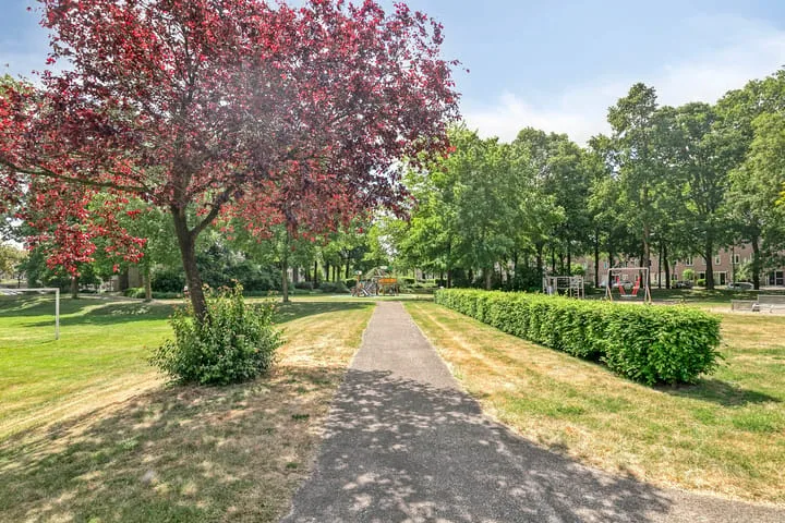 Kolibrievlinder 22 Amersfoort thumbnail 42