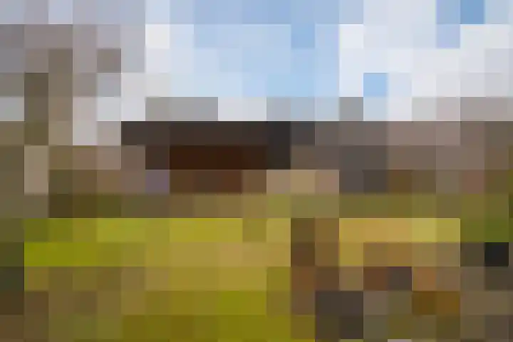 Kolibrievlinder 25 Enschede thumbnail 25