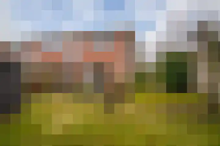 Kolibrievlinder 25 Enschede thumbnail 27