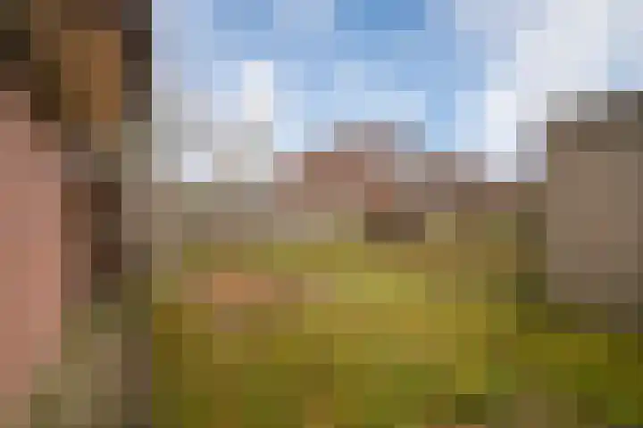 Kolibrievlinder 25 Enschede thumbnail 28