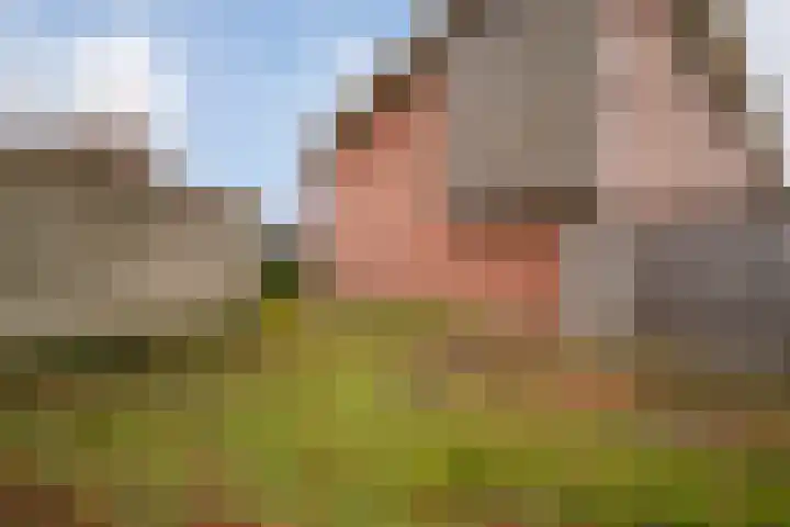 Kolibrievlinder 25 Enschede thumbnail 29