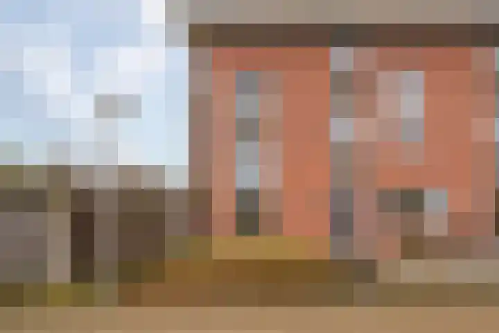 Kolibrievlinder 25 Enschede thumbnail 30