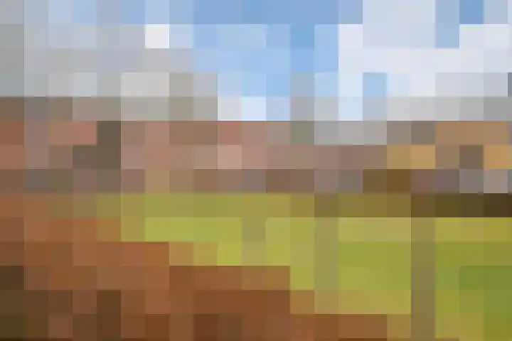 Kolibrievlinder 25 Enschede thumbnail 31