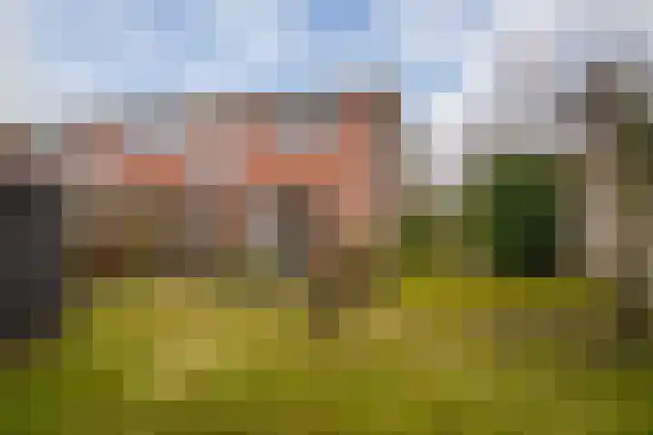 Kolibrievlinder 25 Enschede thumbnail 4