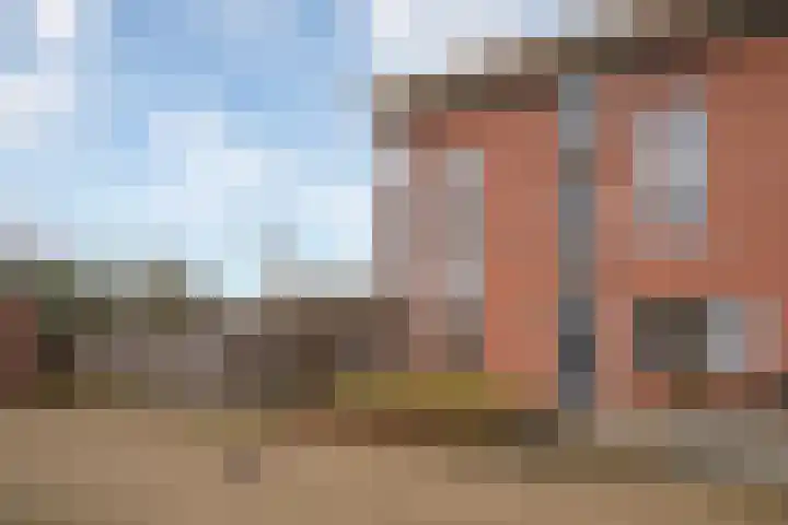 Kolibrievlinder 25 Enschede thumbnail 5