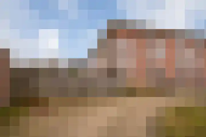 Kolibrievlinder 25 Enschede thumbnail 6