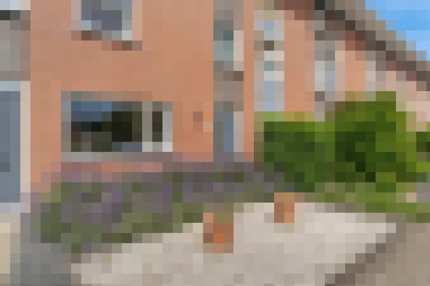 Kolibrievlinder 35 Enschede thumbnail 10